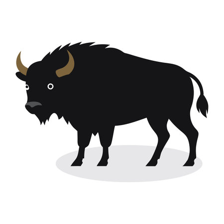 Buffalo Animal isolated flat vector illustration on white backgroundのイラスト素材