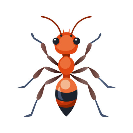 Ants insect flat vector illustration on white backgroundのイラスト素材