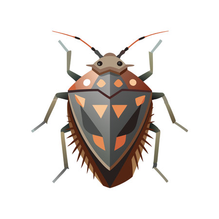 Brown marmorated stink bug insect flat vector illustration on white backgroundのイラスト素材