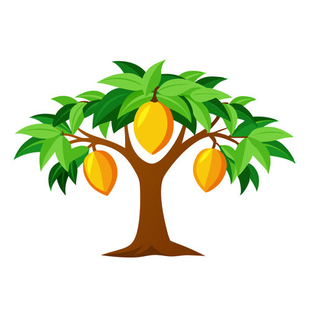 Mango Tree flat vector illustration on white backgroundのイラスト素材
