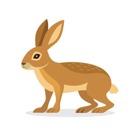 Hare animal flat vector isolated illustration on white backgroundのイラスト素材