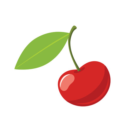 Sweet cherry with Leaves isolated flat vector illustration on white backgroundのイラスト素材