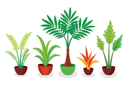 Chamaedorea tree set flat vector illustration on white backgroundのイラスト素材