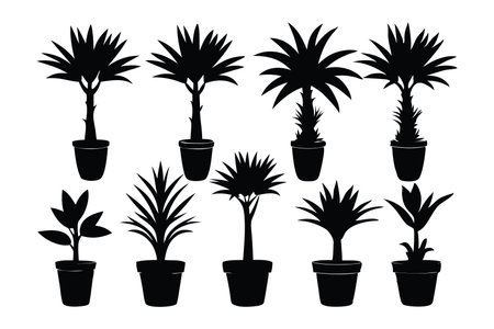Dracaena silhouette set flat vector  illustration on white backgroundのイラスト素材
