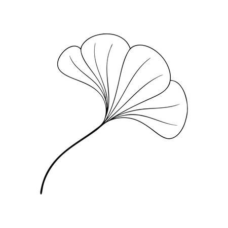 Ginkgo leaf showcasing its unique fan shape continuous line art flat vector illustration white backgroundのイラスト素材