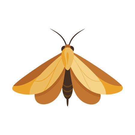 Clothes Moth insect isolated flat vector illustration white backgroundのイラスト素材