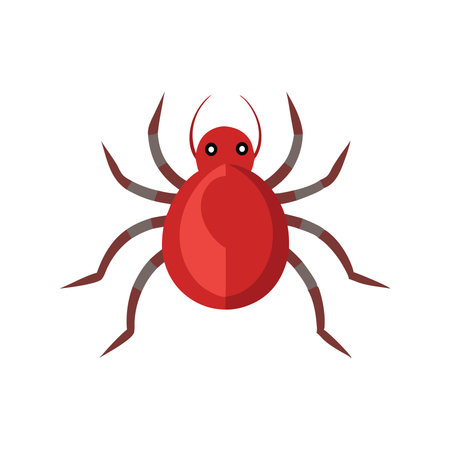 Spider Mite insect isolated flat vector illustration white backgroundのイラスト素材