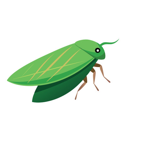 Treehopper insect isolated flat vector illustration white backgroundのイラスト素材