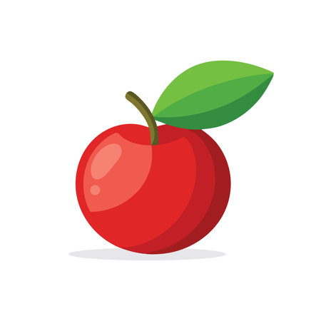 Acerola fruit flat vector illustration on white backgroundのイラスト素材