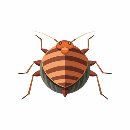 Bed bug animal isolated flat vector illustration on white backgroundのイラスト素材
