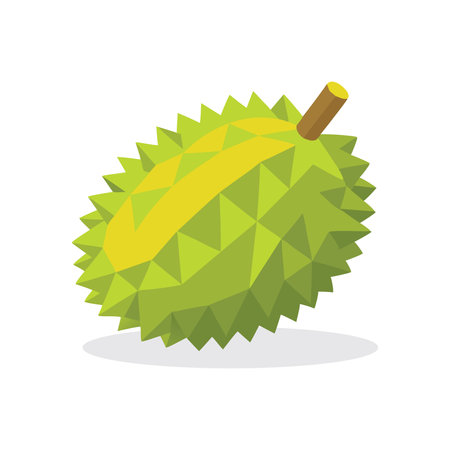 Durian fruit flat vector illustration on white backgroundのイラスト素材