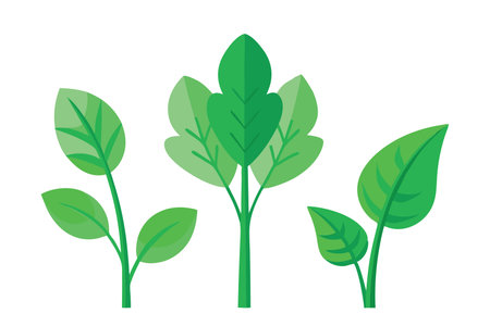 Plant featuring lush green leaves and sturdy brown stems, showcasing a healthy and natural appearance flat vector illustration set on white backgroundのイラスト素材