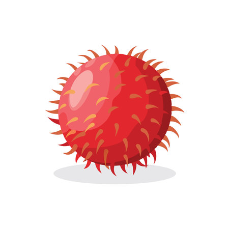 Rambutan fruit flat vector illustration on white backgroundのイラスト素材
