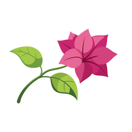 Bougainvillea Flower flower isolated flat vector illustration on white backgroundのイラスト素材