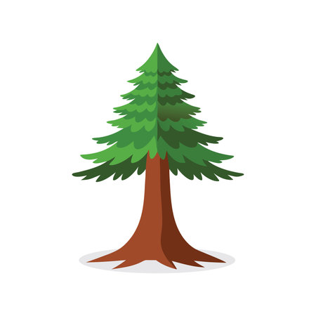 Coast Redwood  tree isolated flat vector illustration on white backgroundのイラスト素材