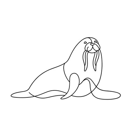 Walrus Animal continuous line art flat vector illustration on white backgroundのイラスト素材