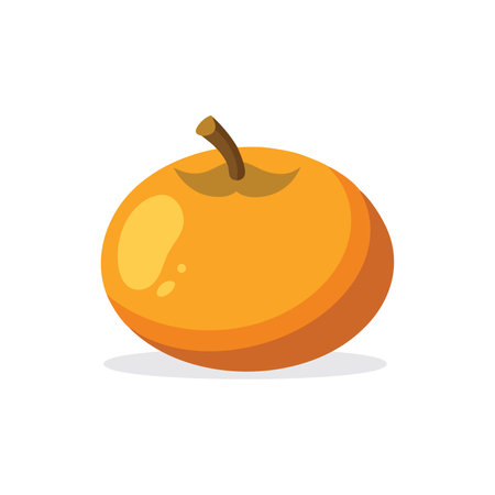 Loquat fruit isolated flat vector illustration on white backgroundのイラスト素材