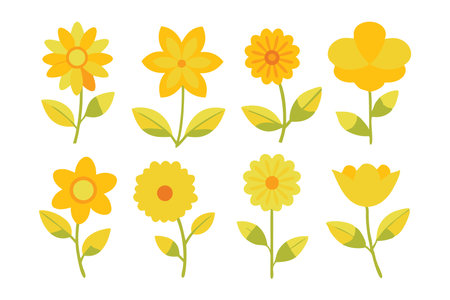 Yellow flower flat vector illustration white backgroundのイラスト素材
