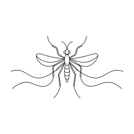 Mosquito continuous line art flat vector illustrationのイラスト素材