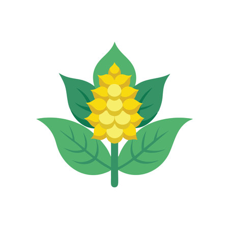 Mahonia flower isolated flat vector illustration on white backgroundのイラスト素材