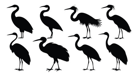 Heron Birds silhouettes set isolated flat vector illustration on white backgroundのイラスト素材