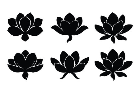 Magnolia flowers silhouettes isolated flat vector illustration on white backgroundのイラスト素材