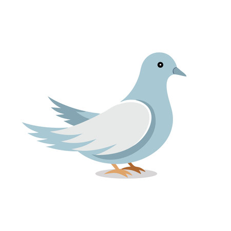 Dove animal isolated flat vector illustration on white backgroundのイラスト素材