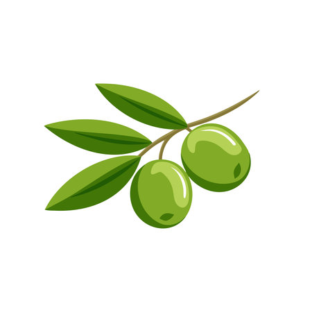 Green olives with leaves isolated flat vector illustration on white backgroundのイラスト素材