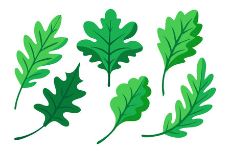 Green oak branch with leaves llustration on white backgroundのイラスト素材