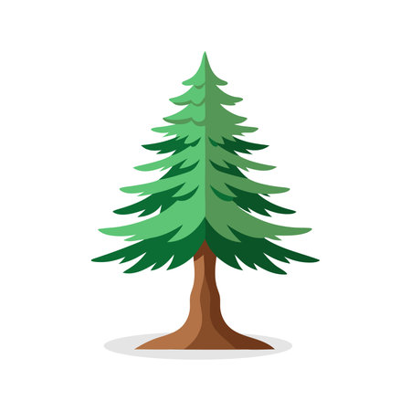 Eastern White Pine  tree isolated flat vector illustration on white backgroundのイラスト素材