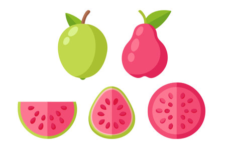 Pink guava fruits set isolated flat vector illustration on white backgroundのイラスト素材