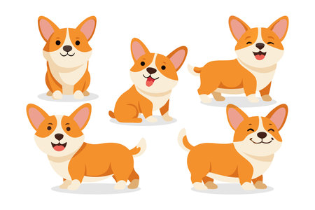 Cute welsh corgi dog character set. Vector illustration.のイラスト素材