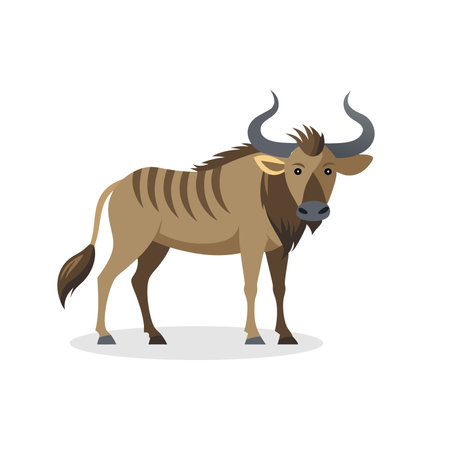 Wildebeest isolated flat vector illustration on white backgroundのイラスト素材