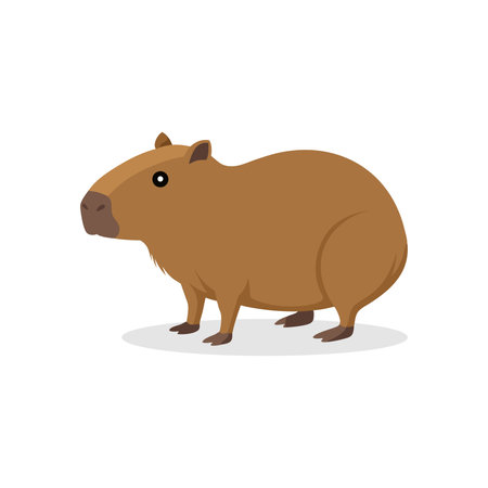 Capybara isolated flat vector illustration on white backgroundのイラスト素材