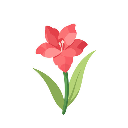 Gladiolus flower isolated flat vector illustration on white backgroundのイラスト素材