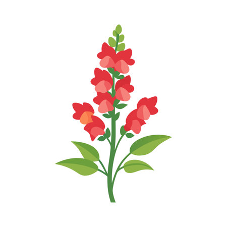 Snapdragons flower isolated flat vector illustration on white backgroundのイラスト素材