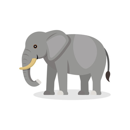 Asian Elephant animal isolated flat vector illustration on white backgroundのイラスト素材