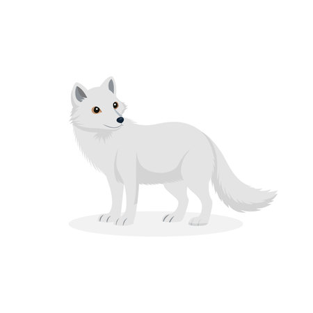 Arctic fox isolated flat vector illustration on white backgroundのイラスト素材