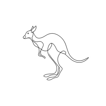 Australia Kangaroo Continuous line art flat vector illustration on white backgroundのイラスト素材
