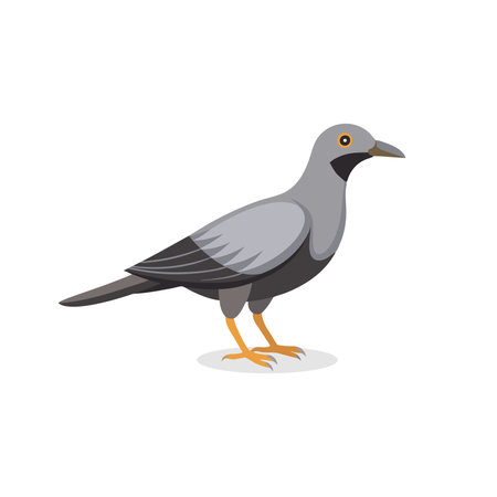 Columbidae bird isolated flat vector illustration on white backgroundのイラスト素材