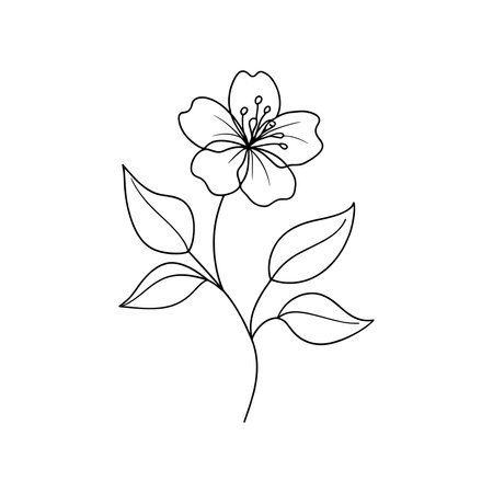 Mock Orange Continuous line art flat vector illustration on white backgroundのイラスト素材