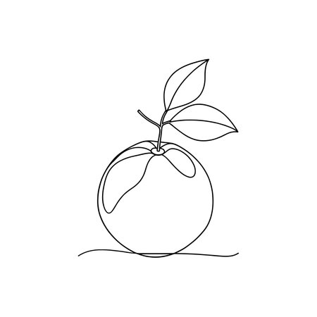 Tangerine fruit with leaf Continuous line art flat vector illustrationのイラスト素材