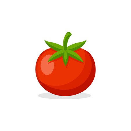 tomato isolated flat vector illustration on white backgroundのイラスト素材