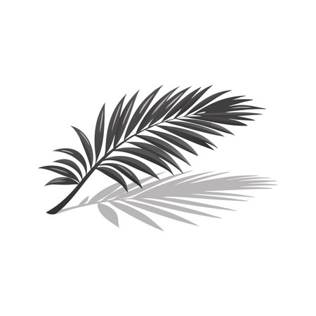 Shadow of palm leaves isolated flat vector illustration on white backgroundのイラスト素材