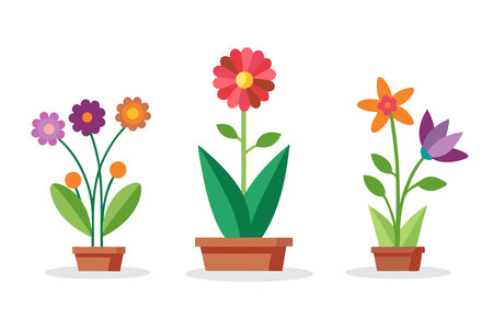 Garden flowers set isolated flat vector illustration on white backgroundのイラスト素材