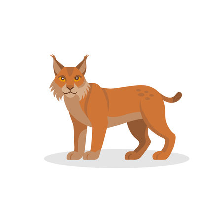 Lynx isolated flat vector illustration on white backgroundのイラスト素材