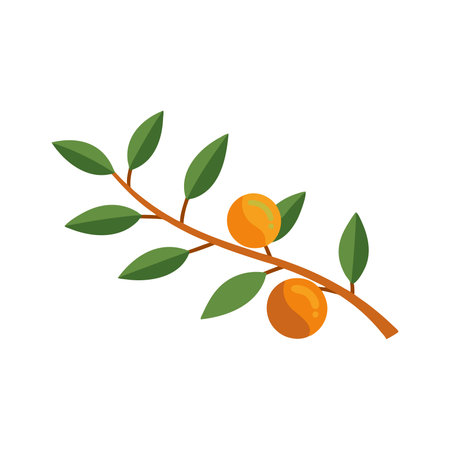 Oranges with branch isolated flat vector illustration on white backgroundのイラスト素材