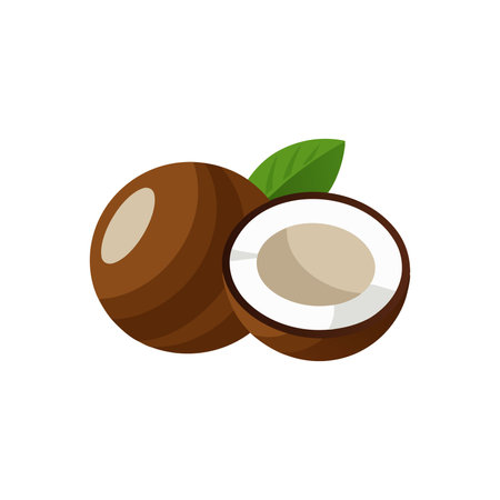 Coconuts isolated flat vector illustration on white backgroundのイラスト素材