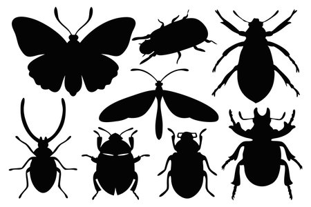 insects silhouettes set isolated flat vector illustration on white backgroundのイラスト素材