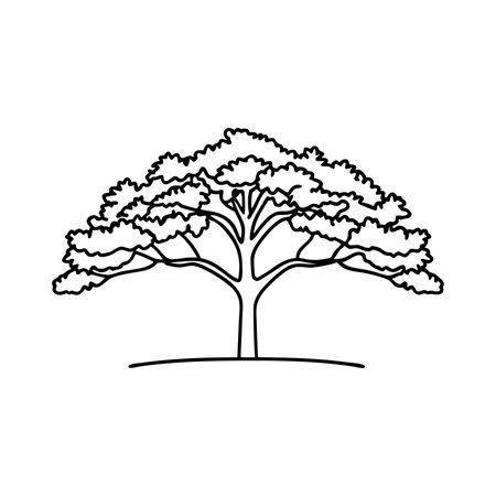 Broadleaf tree isolated on white Hand drawn line art vector illustrationのイラスト素材